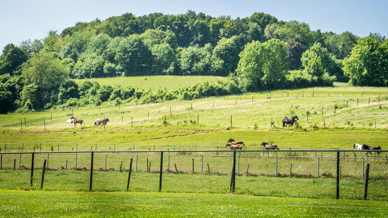Panorama Sousberg B&B En Appartementen Schin op Geul Eksteriør billede
